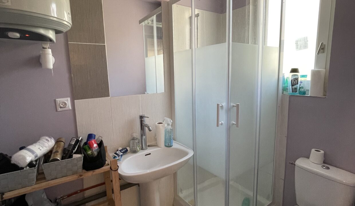 Carpentras T2 souplex salle d'eau fenetre
