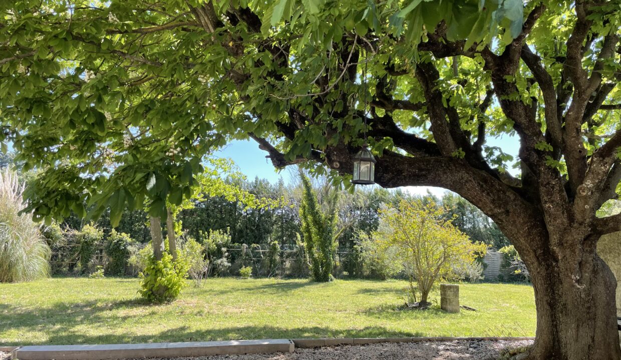 L'Isle-sur-la-Sorgue mas avec dépendances et terrain marronnier