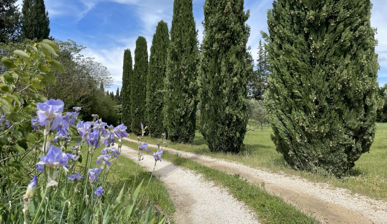 Loriol-du-Comtat maison de maître avec terrain, piscine et gites acces